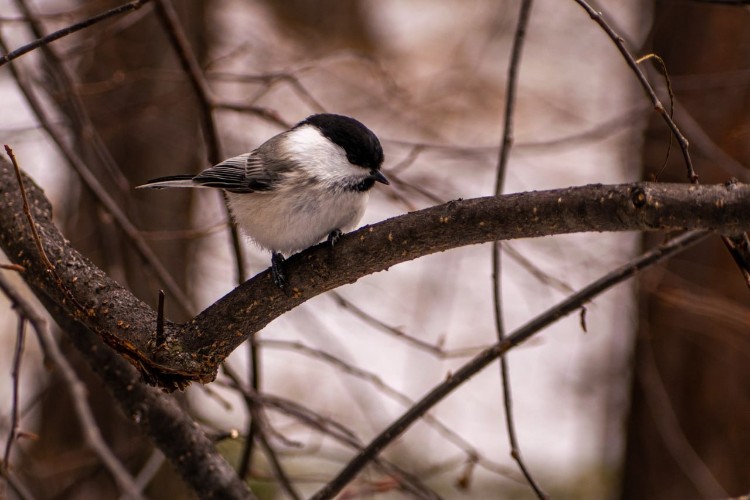 Морозы до -18°С и порывистый ветер ожидаются в Приангарье 23 октября