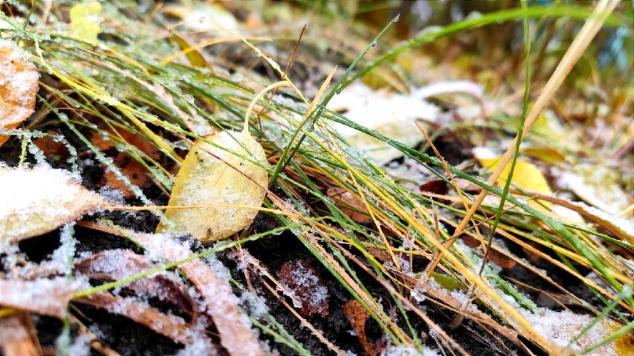 Снегопады и усиление ветра до 30 м/с ожидаются в Приангарье 24 октября