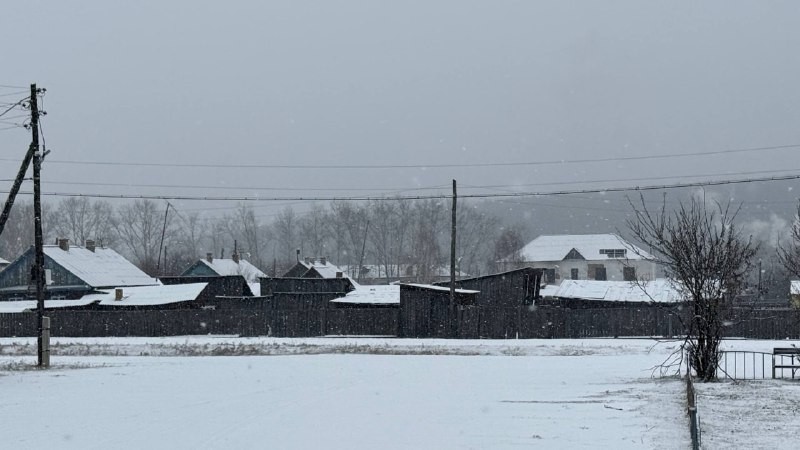 Двое школьников из Иркутского района жестоко издевались над собаками и снимали это на видео