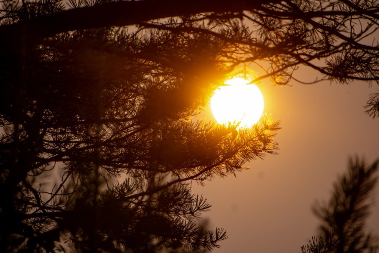 До +9°С ожидается в Иркутской области 27 октября