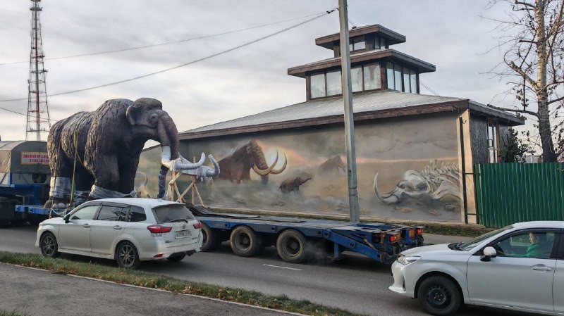 Четырёхметрового мамонта из Братска привезли в Иркутск