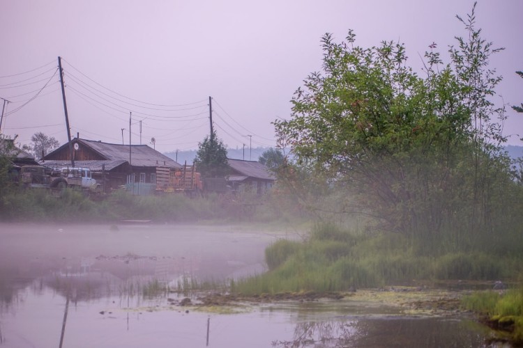 Эмир Кустурица экранизирует повесть «Последний срок» Валентина Распутина
