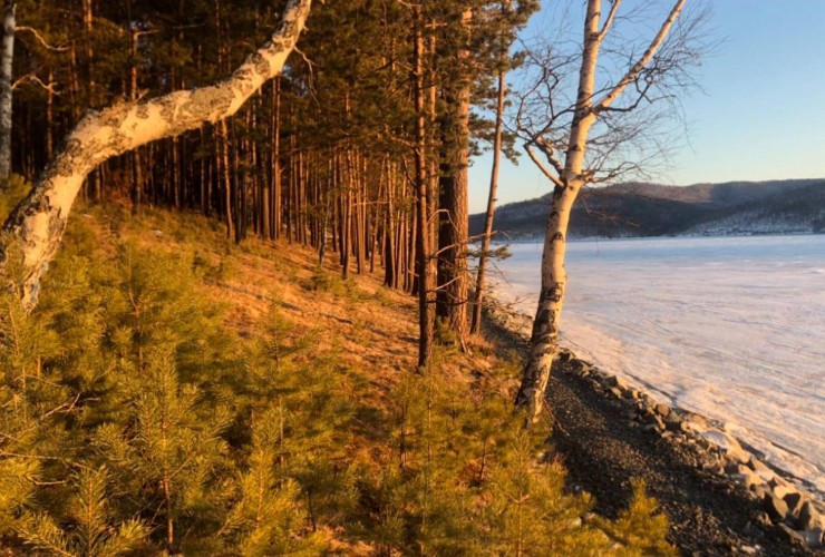 Границы особо защитных лесных участков будут установлены на Байкале