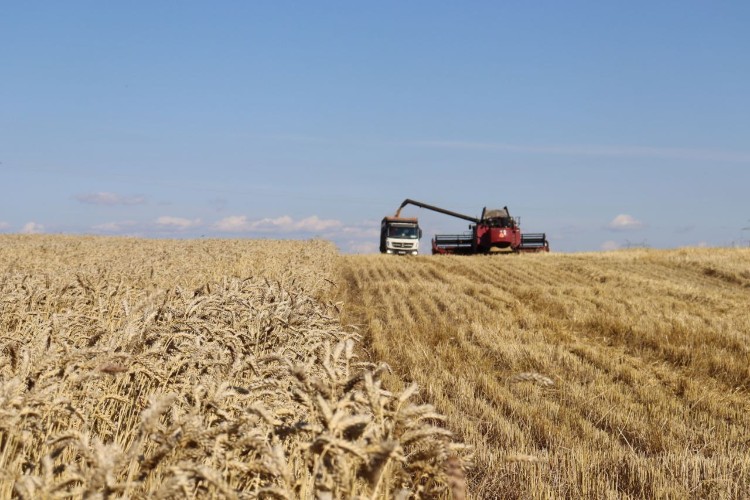 Братский район может стать муниципальным округом в ближайшее время