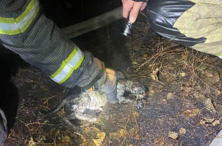 Юноша вынес женщину из горящего дома в Черемхове