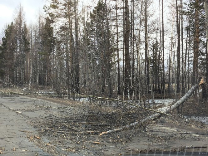 Штормовое предупреждение объявили в Иркутской области на 11 ноября