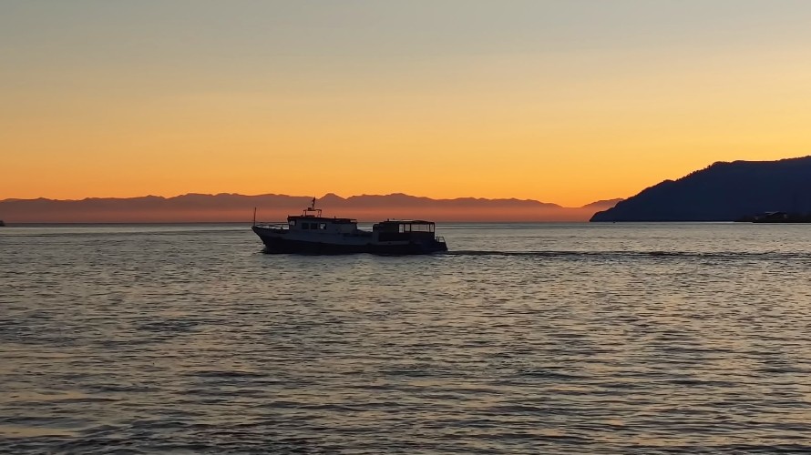 Учёные установили метки на 15 байкальских нерп для изучения их поведения