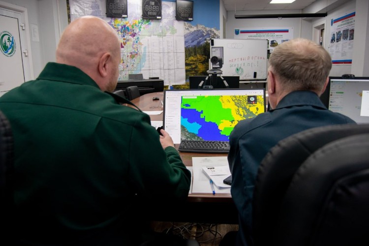 На 72% снизился ущерб от незаконных рубок леса в Иркутской области