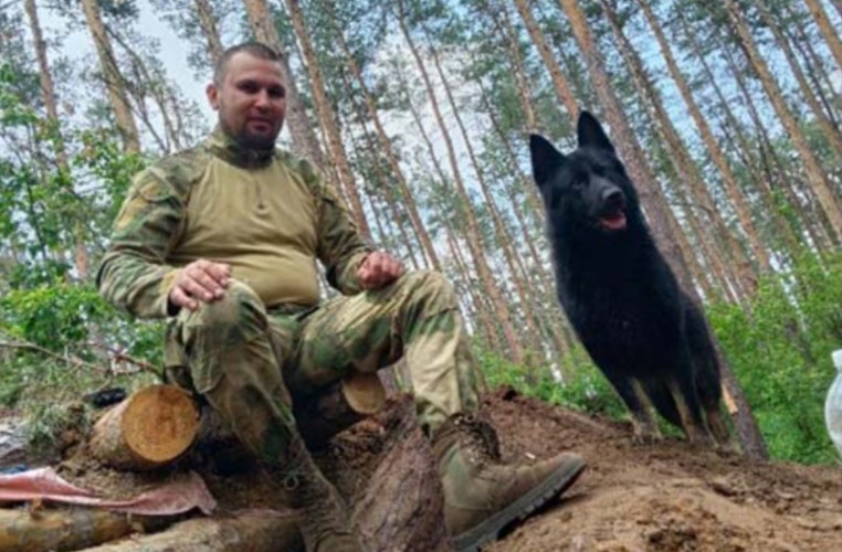 Пса, спасшего бойцов из Приангарья, выдвинули на международную премию