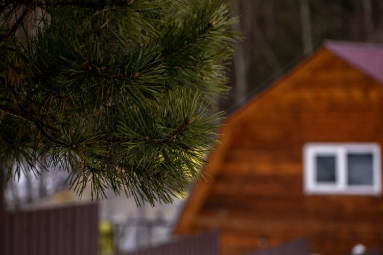 Условия предоставления земельных участков многодетным семьям уточнят в Приангарье