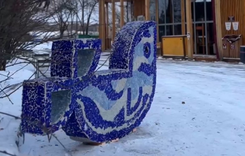 Нерпу из отходов БЦБК установили на острове Конном в Иркутске