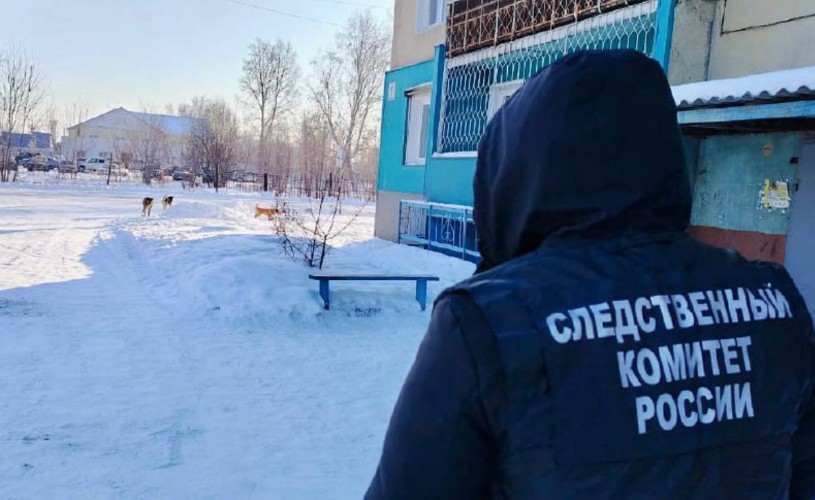 Экс-главу Тайшетского района осудили за халатность в решении проблем с бездомными собаками