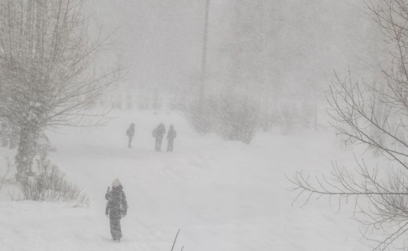 Ветер, снег и метели ожидаются в Приангарье 28 ноября