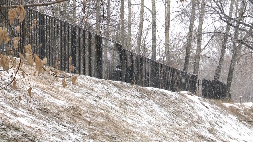 Заборы мешают жителям Студгородка в Иркутске