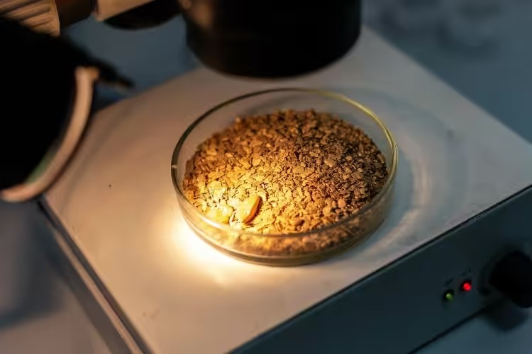 Третьего участника группы похитителей золота осудили в Приангарье