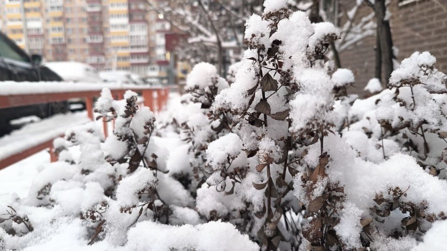 Похолодание до -28° и снегопады нагрянут в Приангарье 4 декабря