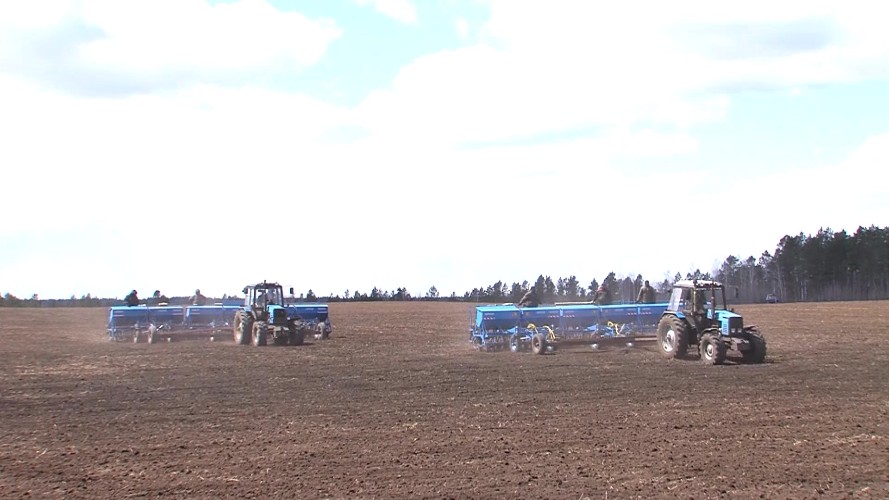 Уровень безработицы сократился в Иркутской области на 17%