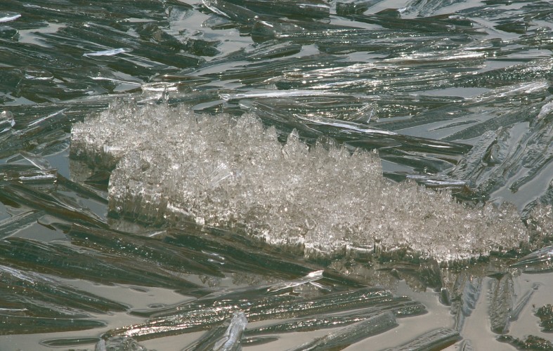 50 млн рублей на предупреждение паводков выделила в 2025 году Иркутская область