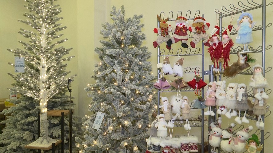 Корреспондент НТС выяснила, сколько заплатят иркутяне за ёлку к Новому году