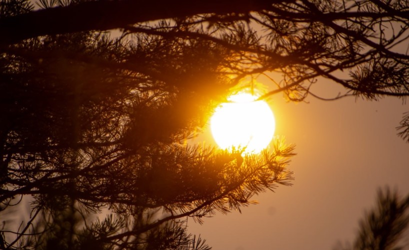 Увидеть полярное сияние могут жители Приангарья 9 и 10 декабря