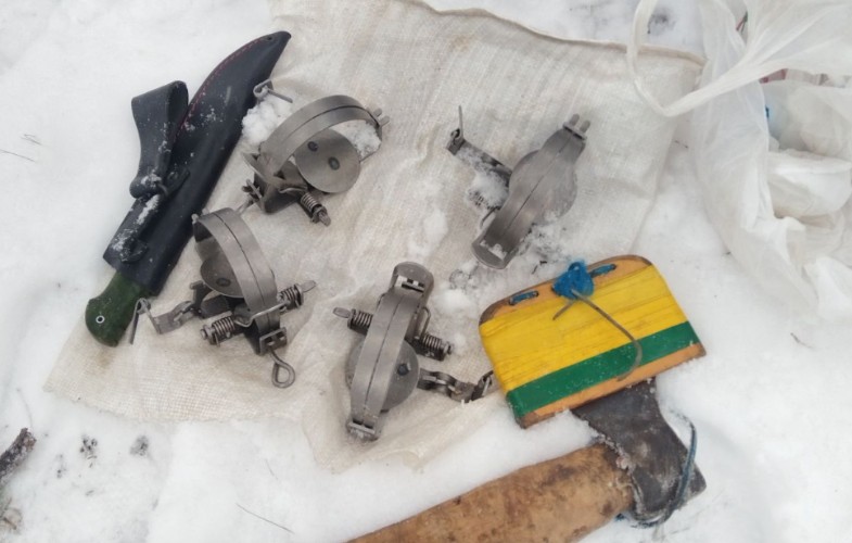 Браконьера с ловушками задержали в Прибайкальском нацпарке