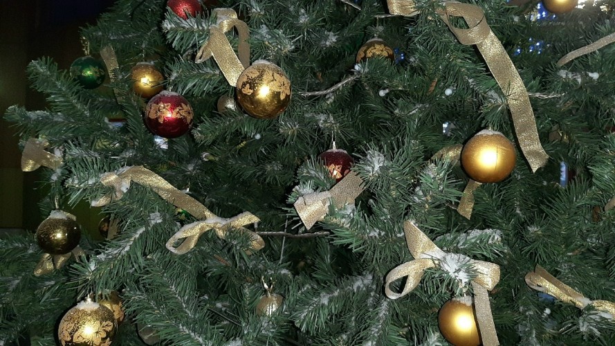 Склады и рынки с новогодними ёлками проверит в Приангарье Россельхознадзор