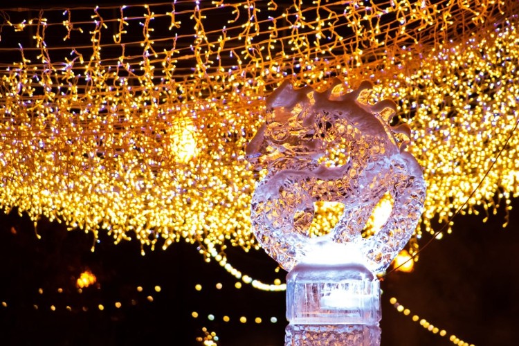 Каток на острове Конном в Иркутске откроют 22 декабря