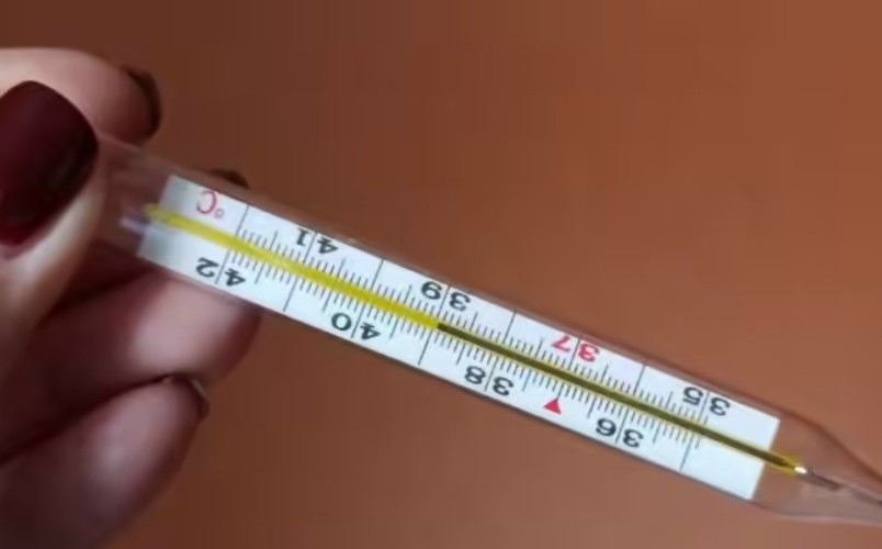 Пособие по болезни до 50 тыс. рублей в месяц смогут получать самозанятые Приангарья