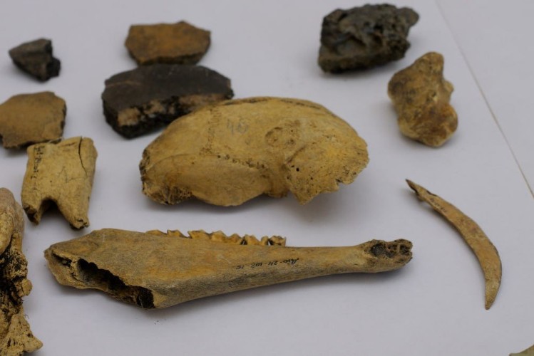 105 объектов археологического наследия обследованы в Приангарье в 2025 году