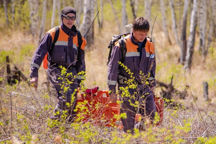 Прокуратура вернула спасателям Приангарья 18,5 млн рублей недоплаченных премий