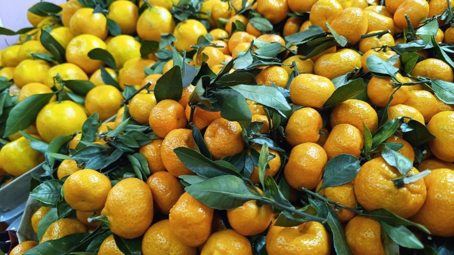 Роспотребнадзор Иркутска дал советы по выбору мандаринов