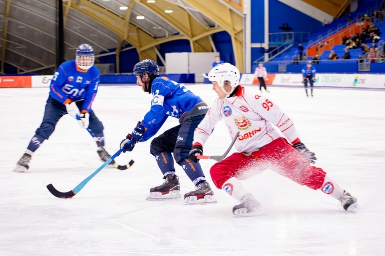 Крытую ледовую арену для хоккея с мячом построят в Братске к 2028 году