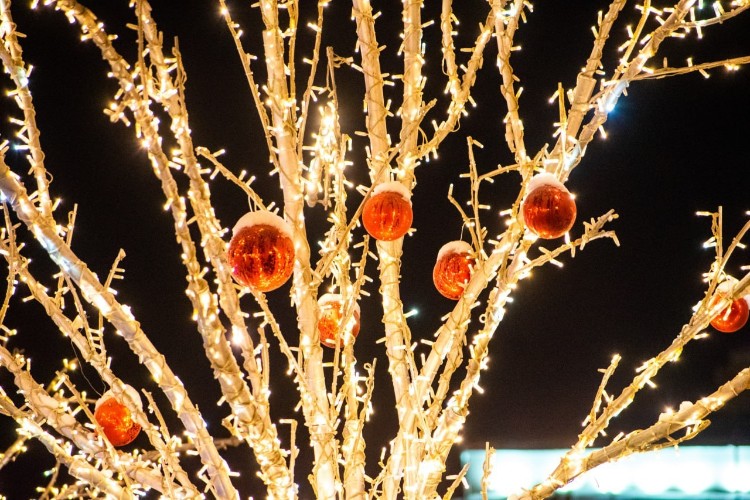 Ведущего праздников в Иркутске арестовали за неуплату алиментов