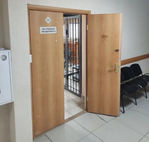 Обвиняемая в убийстве двоих сыновей иркутянка признала вину