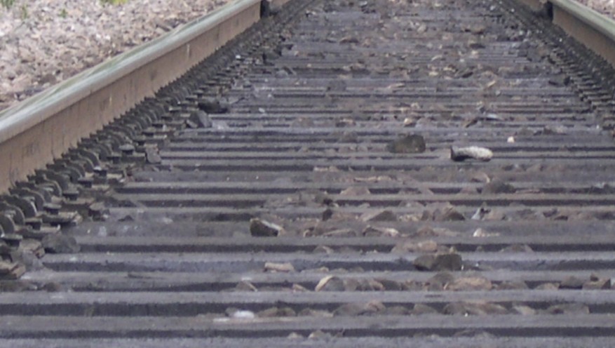 Двое детей и взрослый сбиты грузовым поездом под Усольем-Сибирским