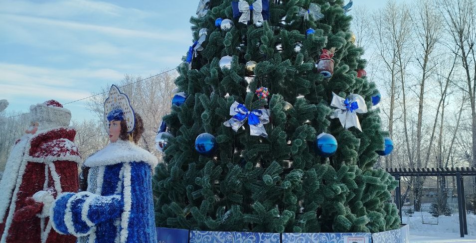 Новогодняя ёлка из иркутского парка участвует во всероссийском конкурсе