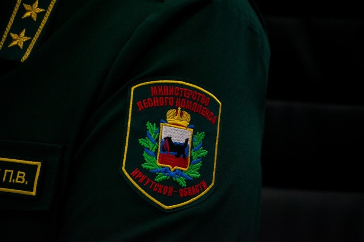«Метель» прошла по лесам Приангарья: выявлено 24 незаконные рубки деревьев