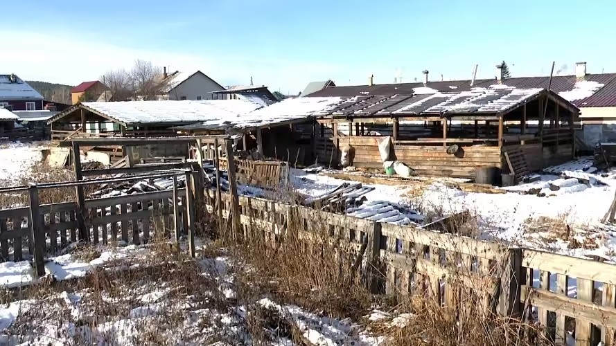 Страдающие от соседства со свинофермой жители Олхи пожаловались региональному омбудсмену