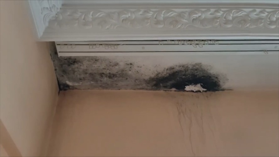 От грибка и плесени в квартире уже шесть лет не может избавиться пенсионерка из Иркутска