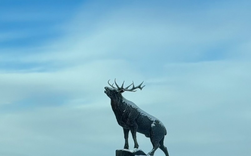 Более 1,5 млн рублей направят на разведение северных оленей в Приангарье