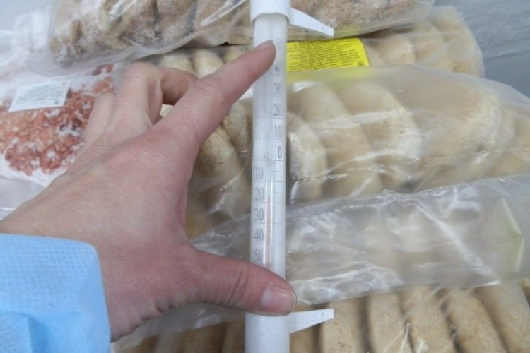 77 нарушений нашла ветслужба при проверке школ и детсадов Приангарья в 2025 году