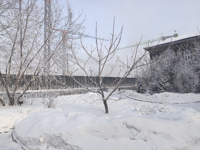 Умеренные морозы прогнозируют в Иркутской области 3 февраля