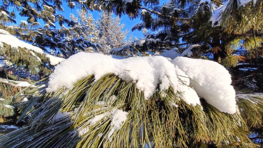 Потепление до -15° ожидается в Иркутской области 6 февраля