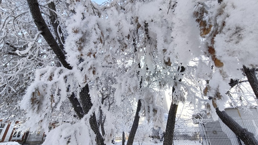 От -36° на севере и до +2° на юге ожидается в Иркутской области 7 февраля