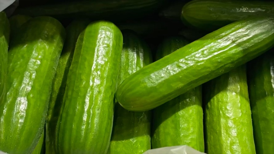 Почти 550 рублей нужно отдать за килограмм огурцов в Иркутске
