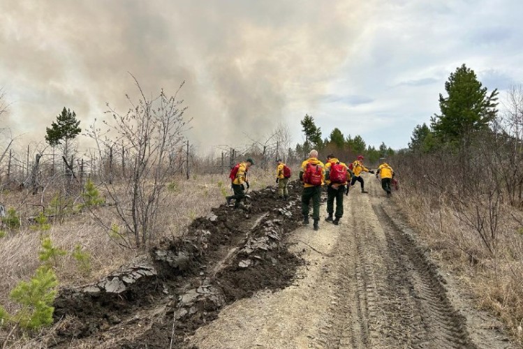 Почти 2 тыс. человек подготовят к тушению лесных пожаров в Приангарье