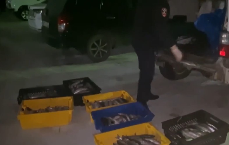 Более 500 особей омуля выловили браконьеры на Байкале