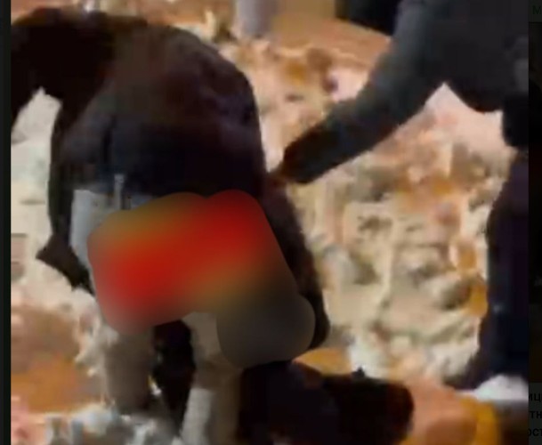 В Ангарске подростки избили 14-летнего сверстника