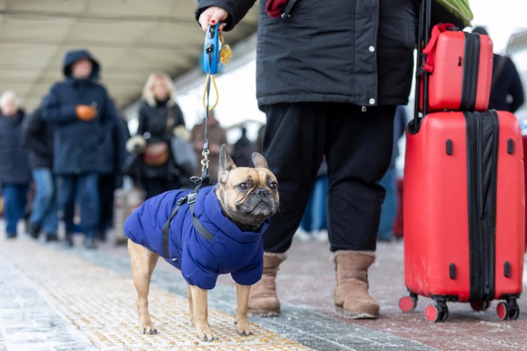 На иркутском вокзале пассажиры поездов чаще всего сдают багаж в камеры хранения