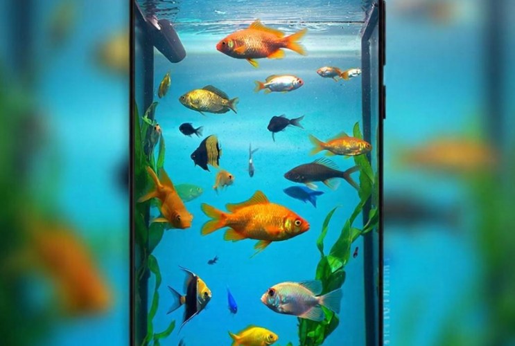 Рыбоводы Иркутской области обязаны до 1 марта промаркировать всю рыбу